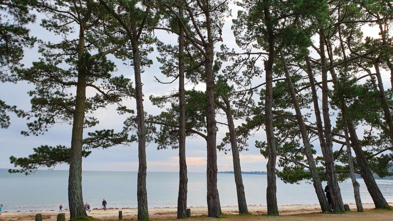 Vacances O Cap Coz - Jardin Vue Mer Et Piscine - Residence Cap Azur Fouesnant Eksteriør bilde