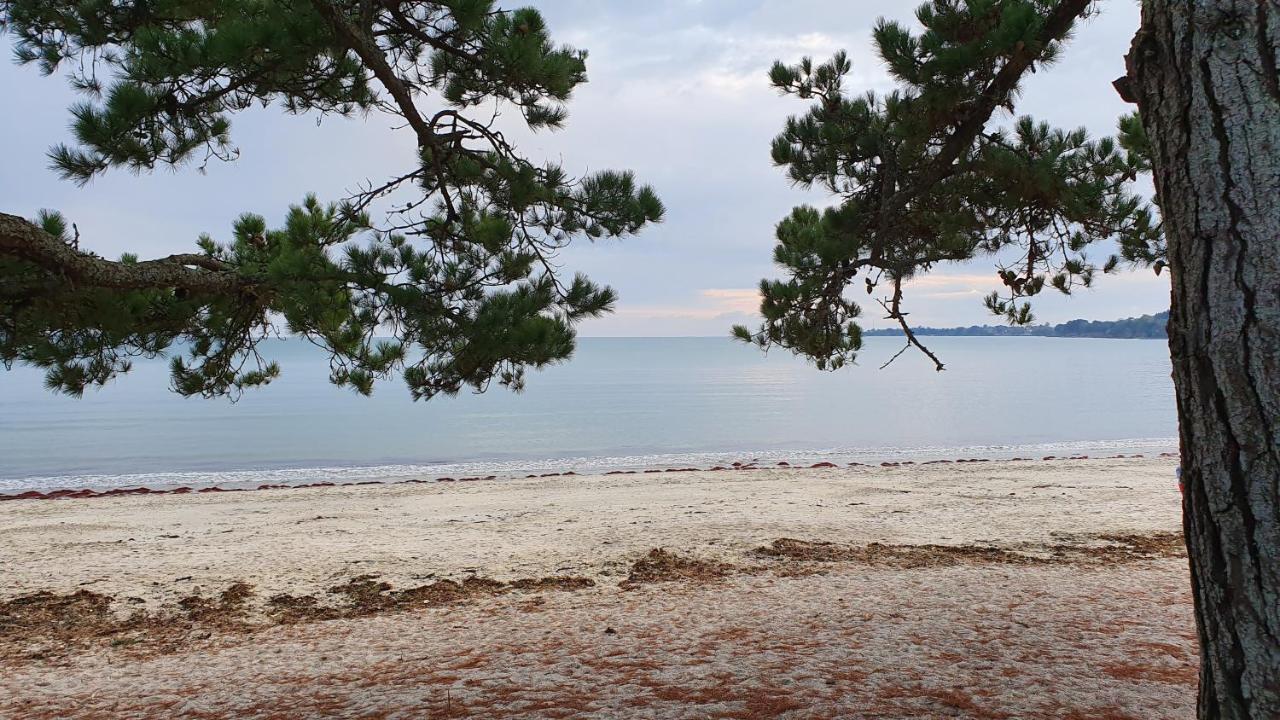 Vacances O Cap Coz - Jardin Vue Mer Et Piscine - Residence Cap Azur Fouesnant Eksteriør bilde